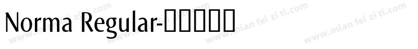 Norma Regular字体转换